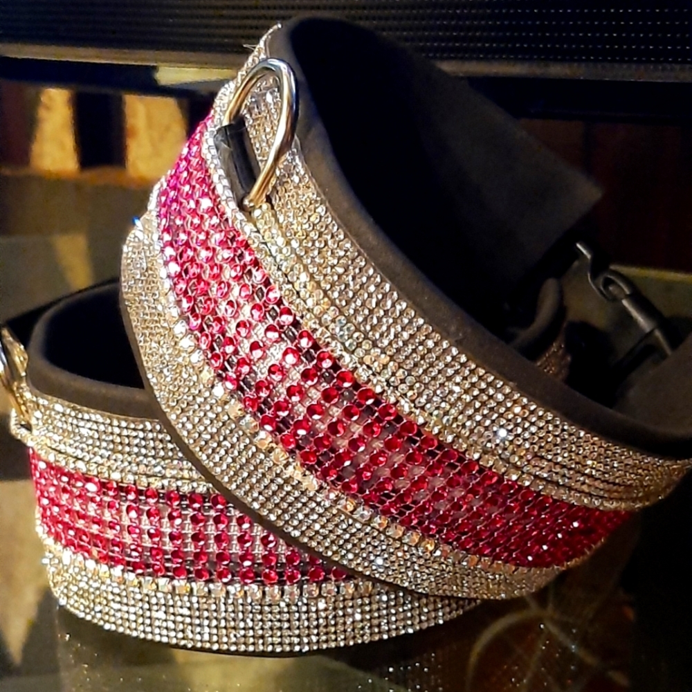 Rhinestone Bling LED Light Up Designer Dog Collar
